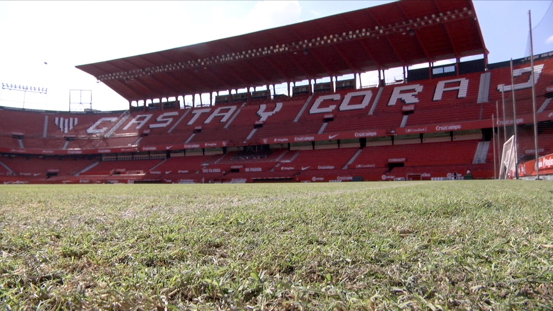Winter grass now laid down in the Sánchez-Pizjuán