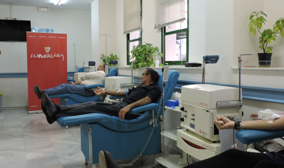 Éxito de las Jornadas de Donación de Sangre Sevillista