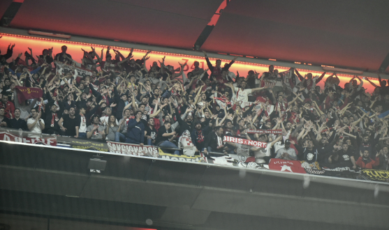 Afición del Sevilla FC en el Allianz Arena