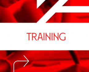 Sevilla FC  Training Innovation Center